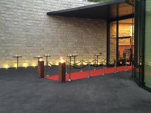 Leitkordeln Ständer silber 3